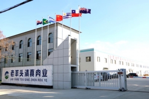 公司环境
