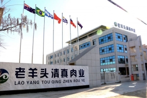 公司环境