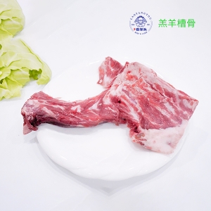 羔羊槽骨